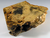 wpb050e705.jpg